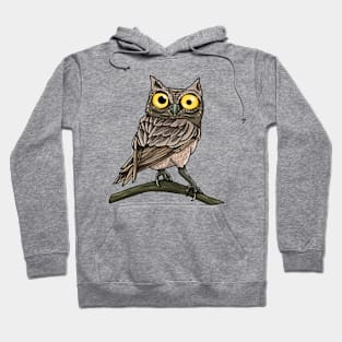 Suspicious Owlet Hoodie